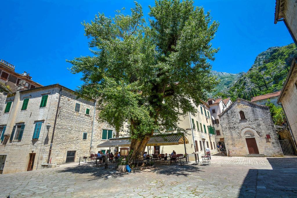 Tajami Apartments Kotor Exteriör bild